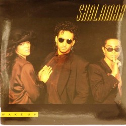 Пластинка Shalamar Wake up